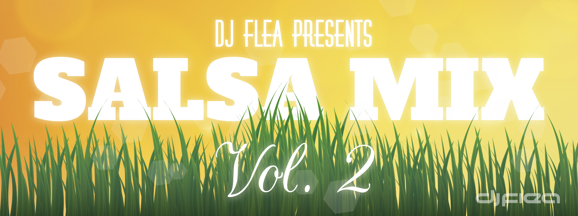 Salsa Mix, Vol. 2